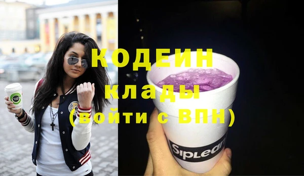 молекула духа Киреевск