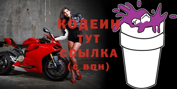 молекула духа Киреевск